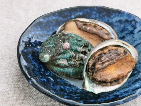 とこぶしでも*小さなあわびのやわらか煮